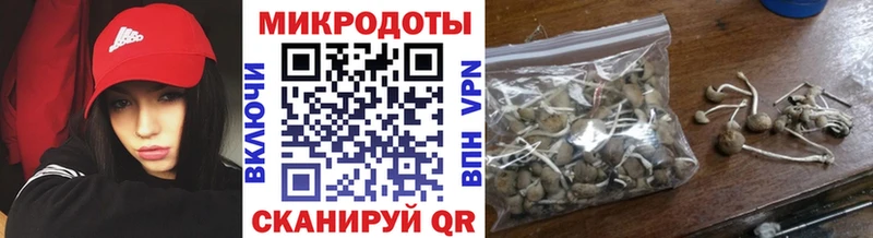купить  сайты  Воркута  Псилоцибиновые грибы мицелий 